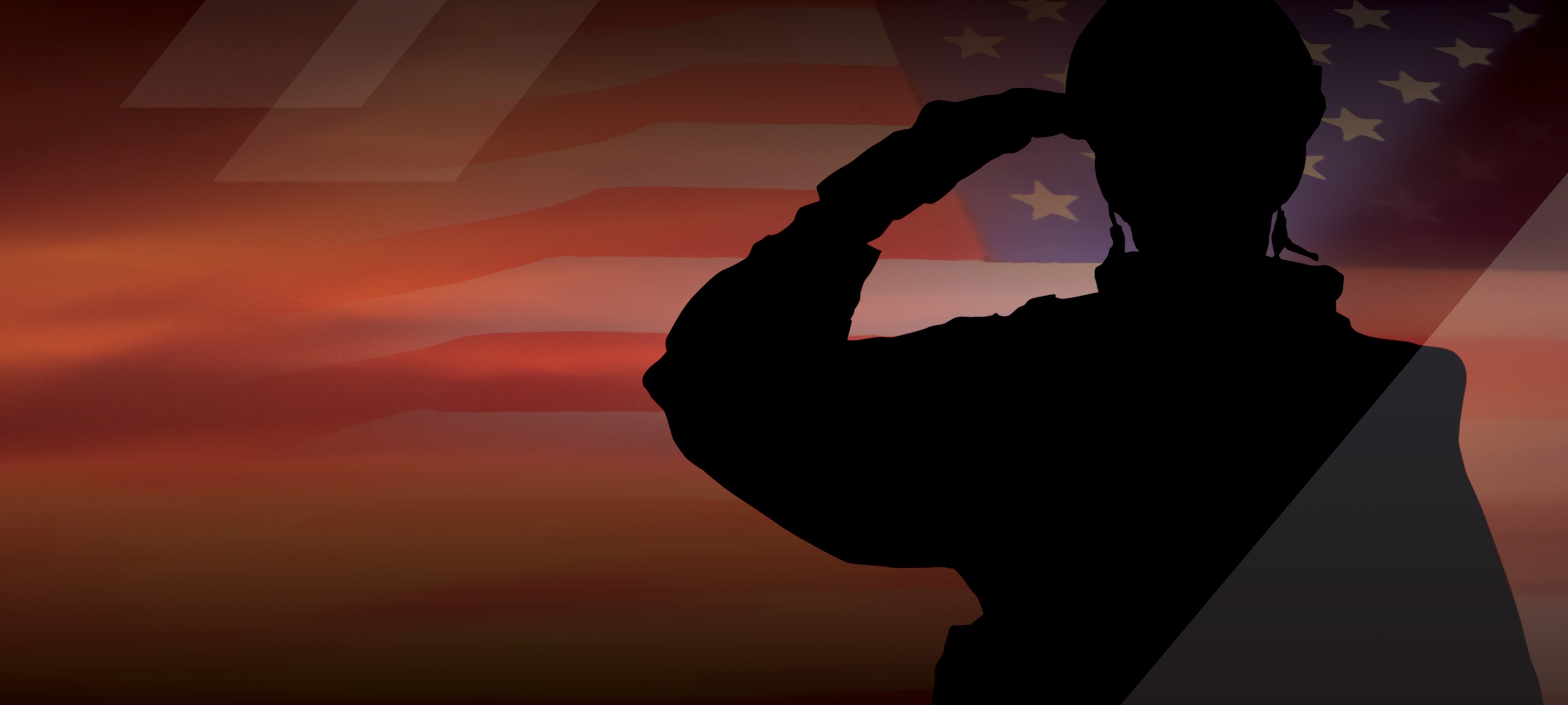 silhouette of saluting solidier in front of US Flag