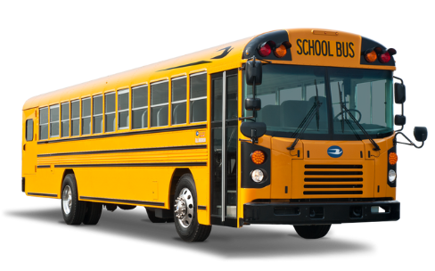 yellow Blue Bird school bus