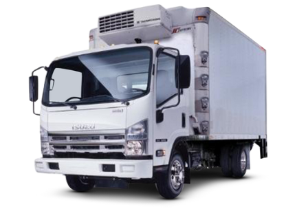 White Isuzu refrigerator truck | Reefer truck | reefer trucks for sale | Refrigerated Truck